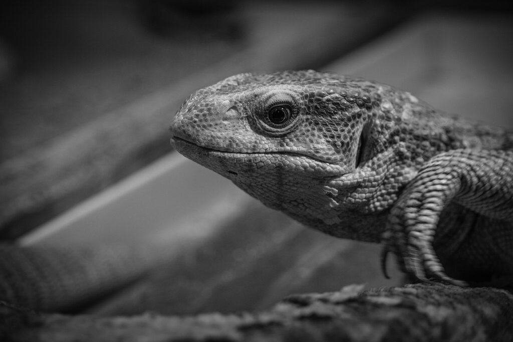 NMNサプリは体への影響が気になる？実際の効果と注意点を解説！